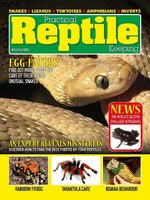 Practical Reptile Keeping